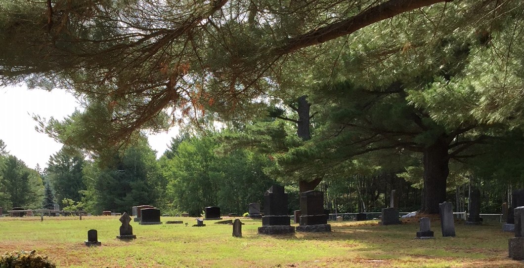 a view of the cemetery with pine branches above